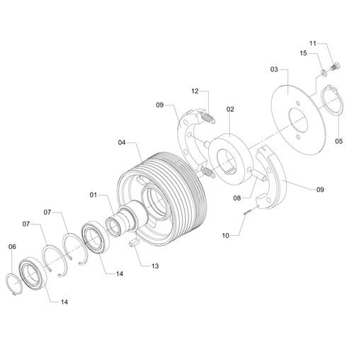 Polia Ø200 6 3V motora com embreagem 174011 (CONJUNTO COMPLETO)
